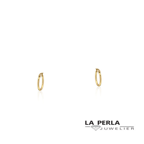 Huiscollectie oorringen 58534